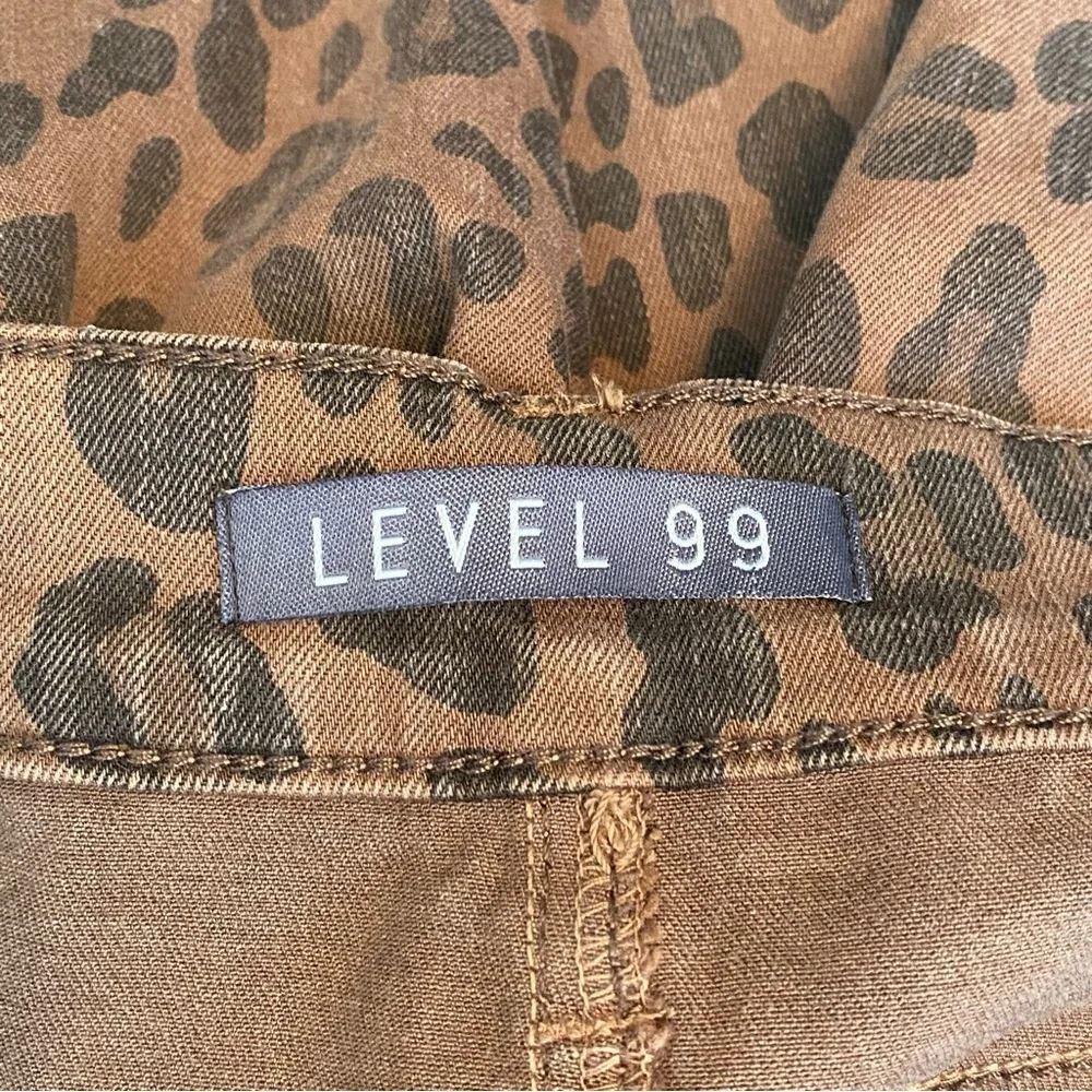 Level 99 level 99